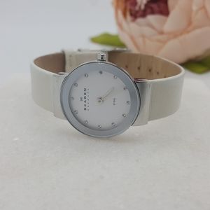 ✔️Skagen Silver Case Glitz Watch